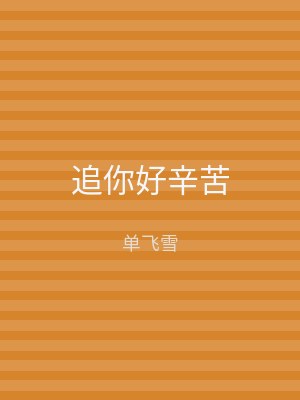 追你好辛苦